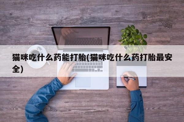 打胎药正品专卖微信猫咪吃什么药能打胎(猫咪吃什么药打胎最安全)