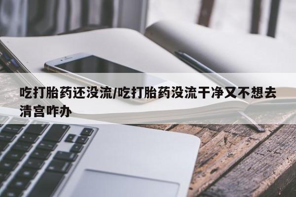 打胎药正品专卖微信吃打胎药还没流/吃打胎药没流干净又不想去清宫咋办