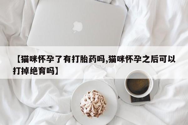 打胎药正品专卖微信资讯 第2页